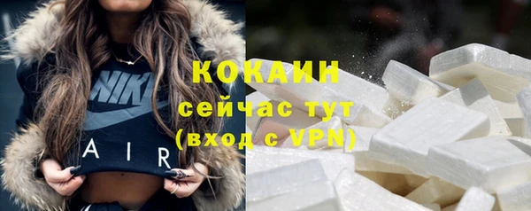 прущие грибы Грязи