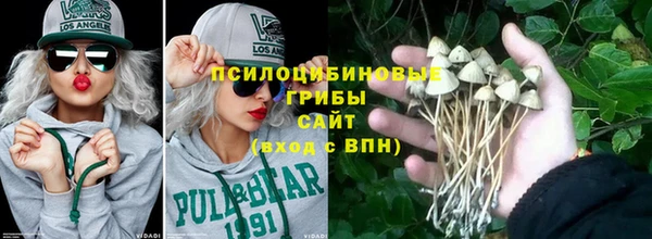 PSILOCYBIN Иннополис