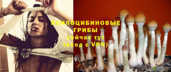 прущие грибы Грязи