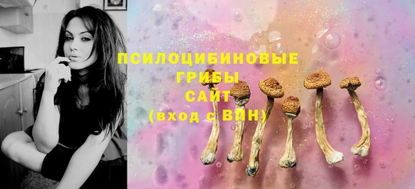 PSILOCYBIN Иннополис